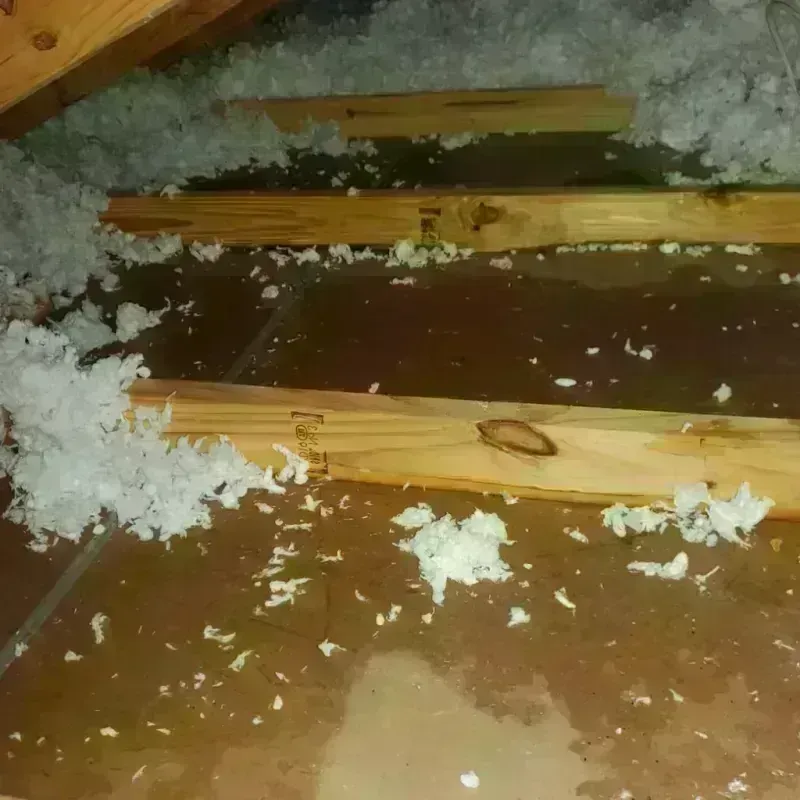 Attic Water Damage in Newport, OR