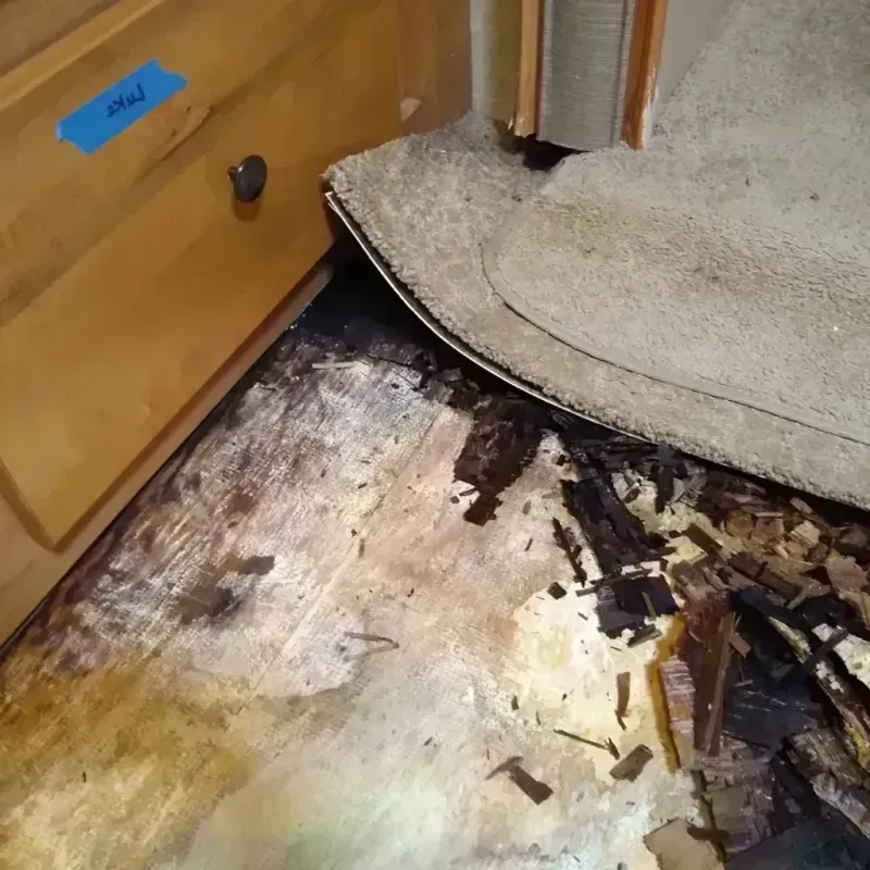 Wood Floor Water Damage in Newport, OR